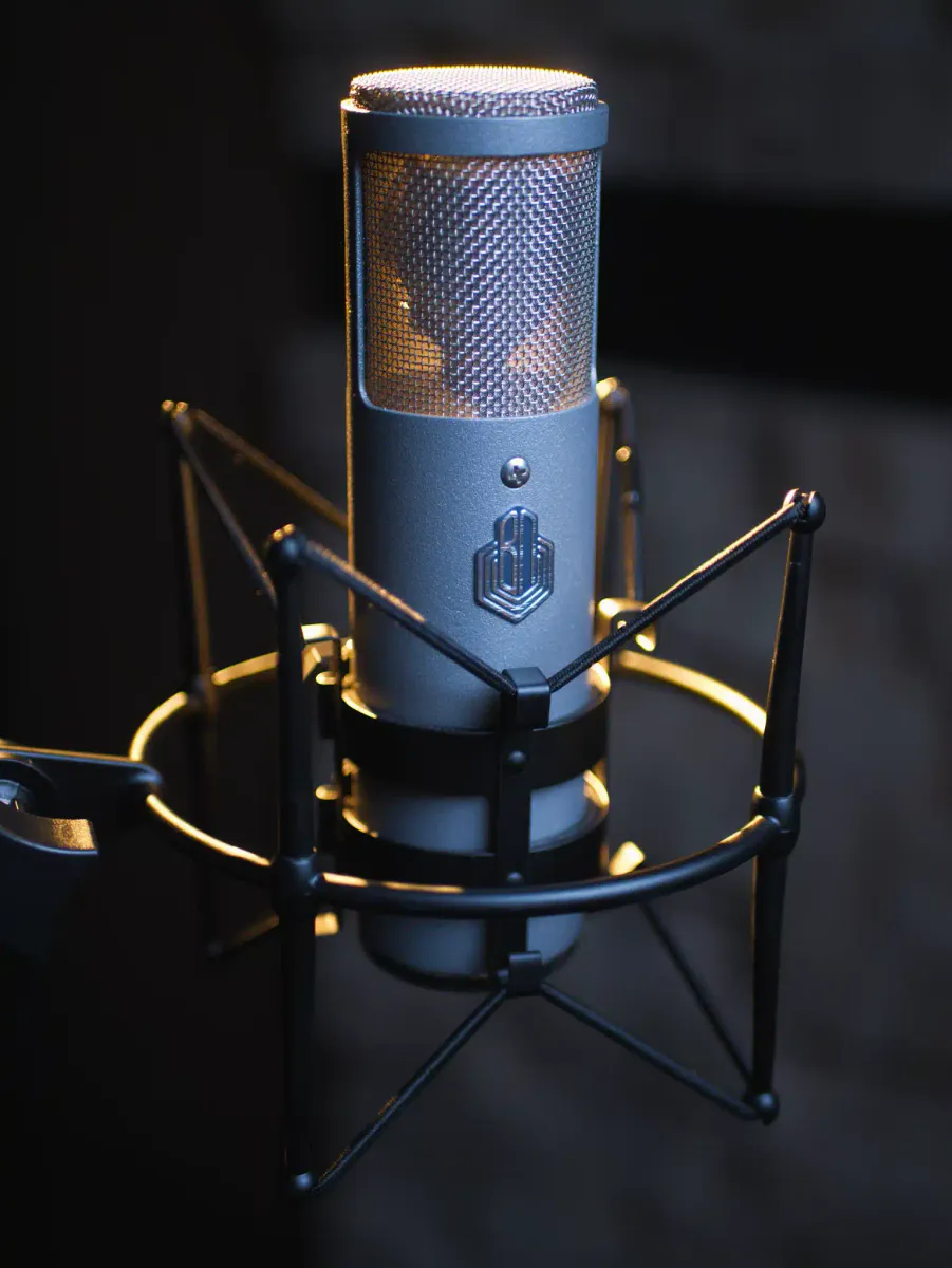 Beesneez pro Audio  Isabell  Large-diaphragm FET condenser microphone